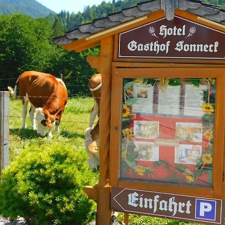 Hotel-gasthof-sonneck