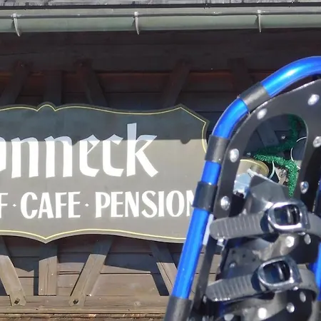 Hotel-gasthof-sonneck Hotel Reit im Winkl