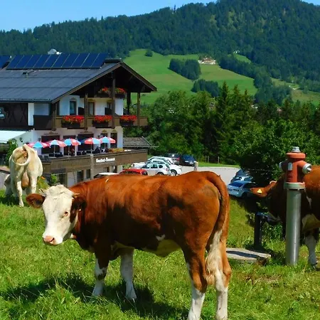 Hotel-gasthof-sonneck